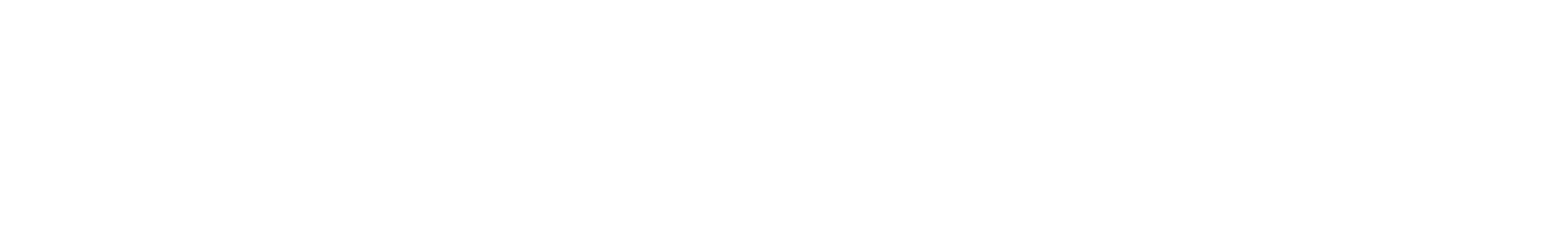Promevo Logo