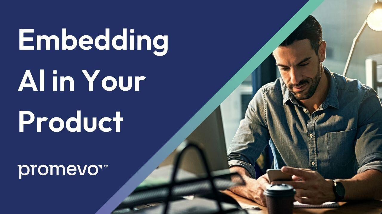 Embedding AI in Your Product