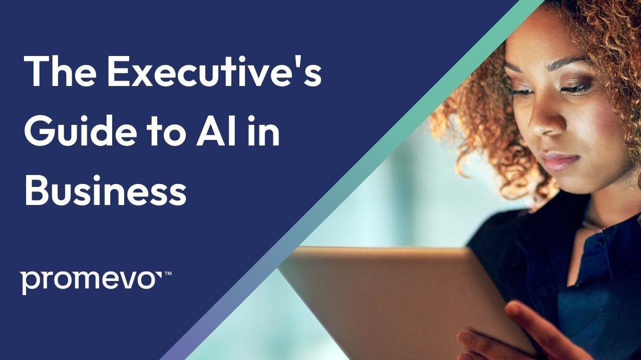 The Executive's Guide to AI in Business